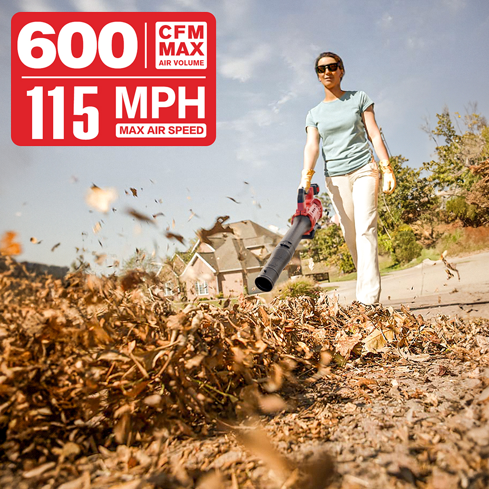 hit productEast High Quality E - Leaf Blower Cordless recension och pris
